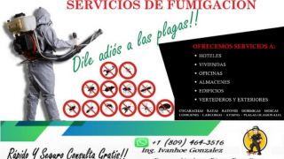 empresas de fumigacion en punta cana Fumigadora Turística FT Dominicana.