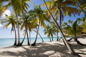 tiendas bandelettes en punta cana Dulus Plus