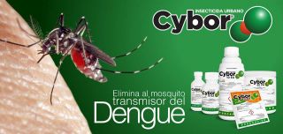 desinfeccion cucarachas punta cana Kholy Chemicals Punta Cana