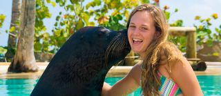 infant swimming punta cana Dolphin Explorer