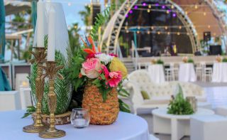 romantic dinners with a view punta cana Pearl Beach Club