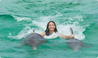 children s shows in punta cana Dolphin Island Park