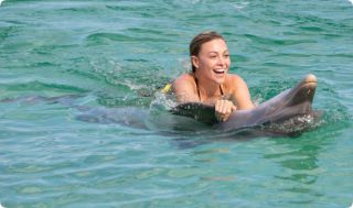 children s shows in punta cana Dolphin Island Park