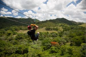 private nurseries in punta cana Punta Cana Best Excursions