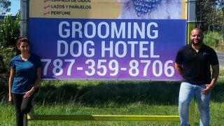 lavar perros punta cana VIPets Grooming & Dog Hotel