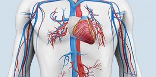 medicos cirugia cardiovascular punta cana Cirujanos Vasculares y Endovasculares en República Dominicana